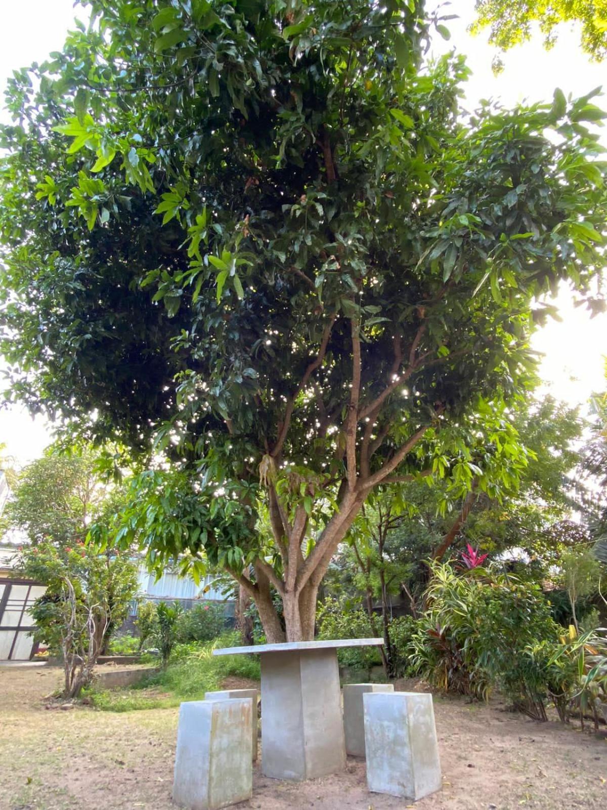 Sujatha Villa Paradise Тангалла Экстерьер фото