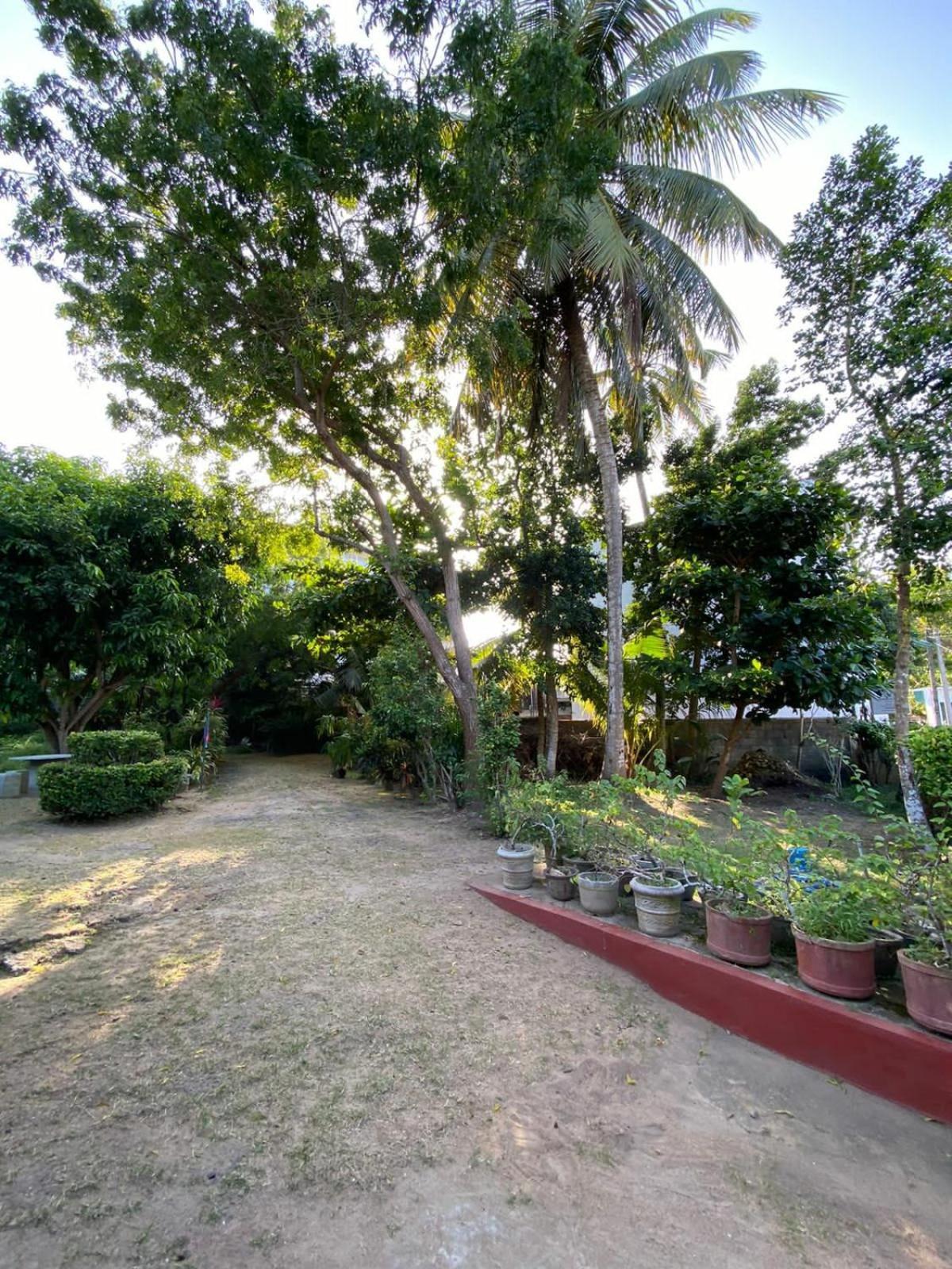 Sujatha Villa Paradise Тангалла Экстерьер фото
